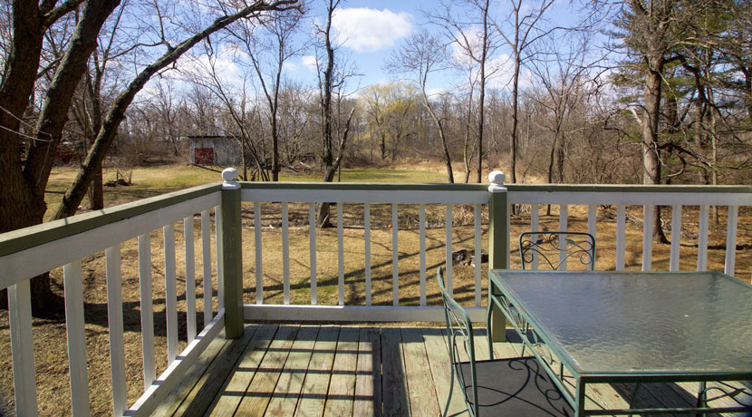 Maple-view-from-back-deck