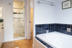 Viewmont-master-suite-bath-shower-tub